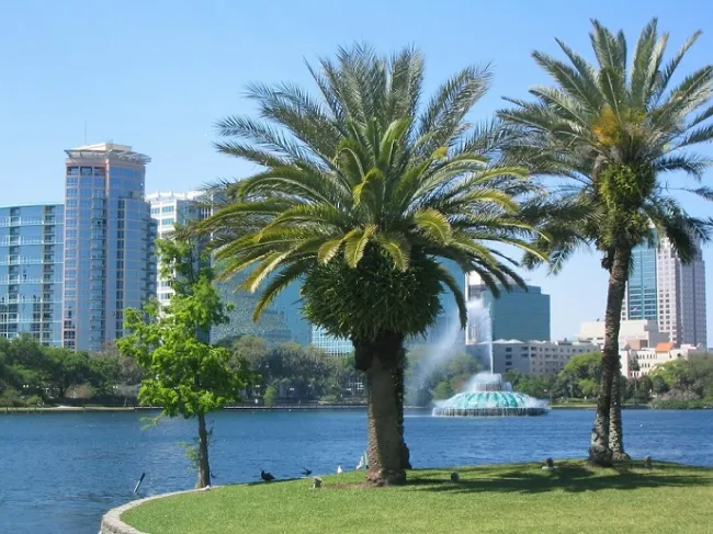 orlando2